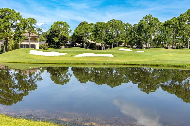 a view of an empty room with wooden floor and windows