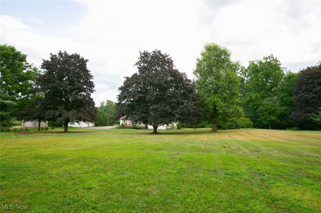 9046 River Styx Road Wadsworth, OH 44281 - Photo 30 of 30 View of yard