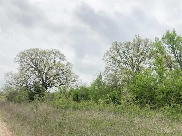 $2,691,150 | 0 County Road 4640, De Kalb, TX 75554