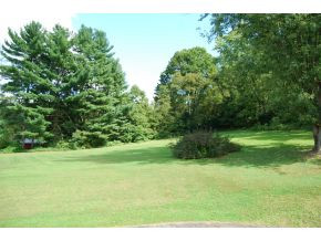 5609 Inca Lane Kingsport, TN 37664 - Photo 6 of 17 This land is hard to come by