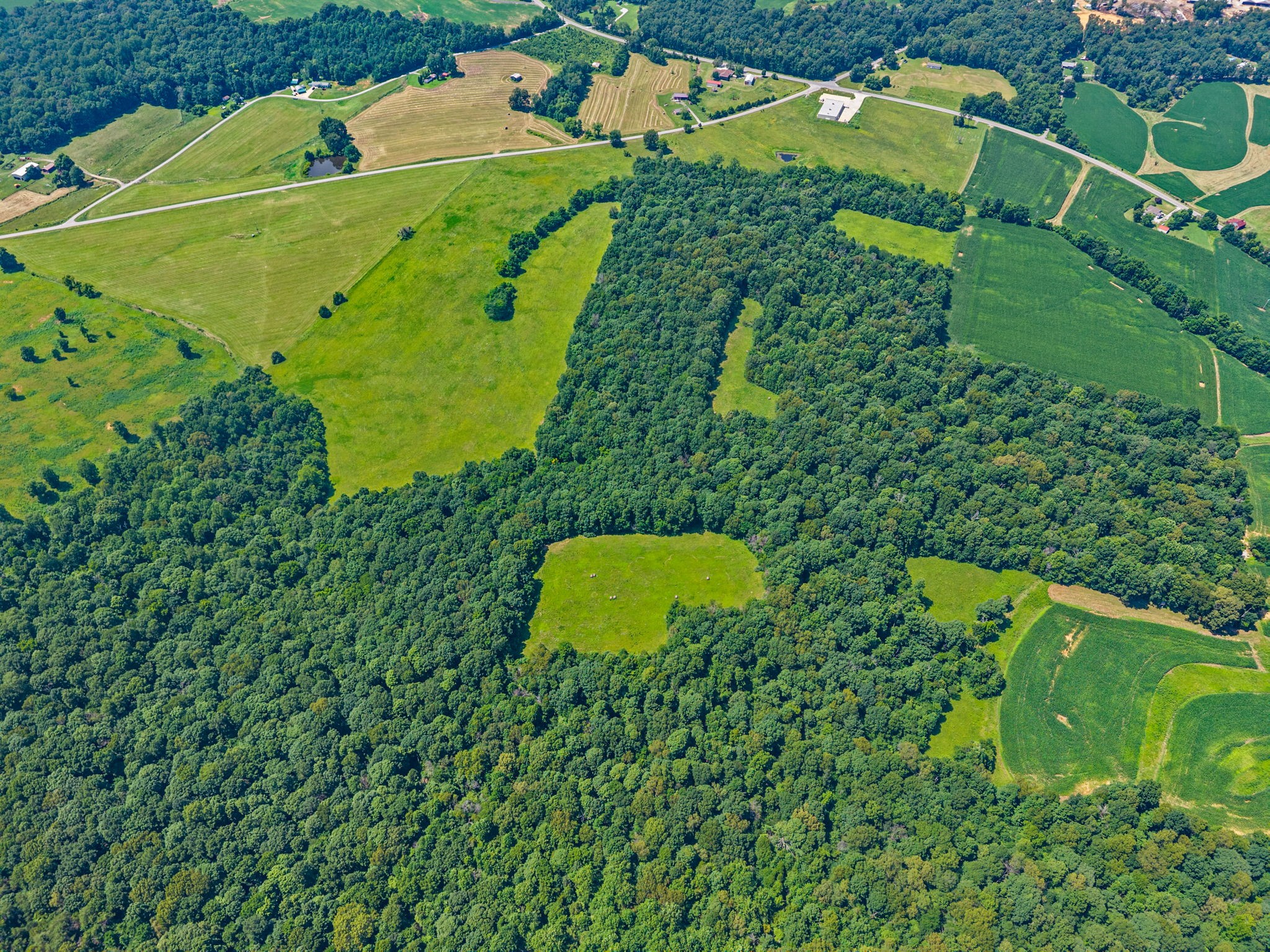 0 Highway 672 Princeton, KY 42445 - Photo 13 of 41