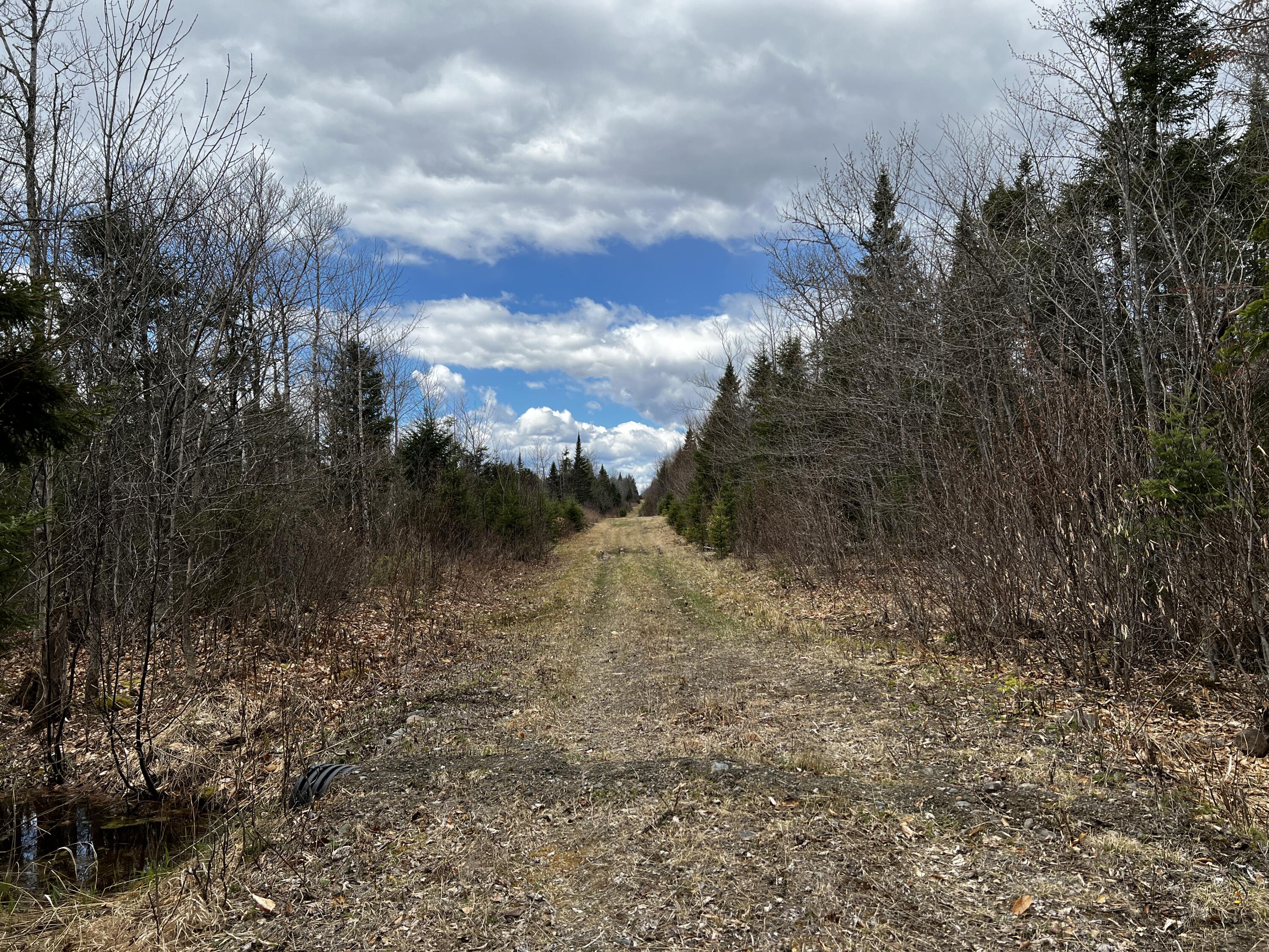 Lot 2-18 Shin Pond Rd Mount Mount Chase, ME 04765 - Photo 16 of 59