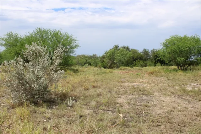 $65,000 | -lot 3 Vista Fina Drive, Sandia, TX 78383