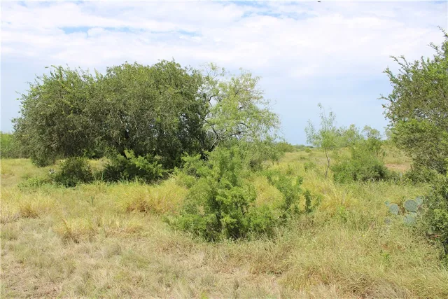 $65,000 | -lot 3 Vista Fina Drive, Sandia, TX 78383