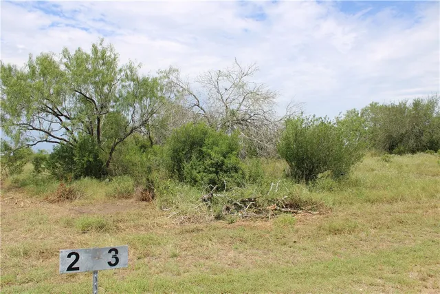 $65,000 | -lot 3 Vista Fina Drive, Sandia, TX 78383