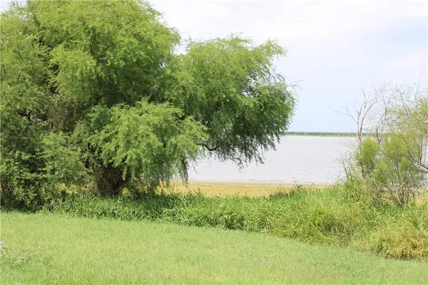 $65,000 | -lot 3 Vista Fina Drive, Sandia, TX 78383