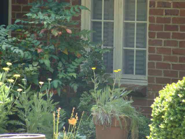 212 Thompson Road Pendleton, SC 29670 - Photo 3 of 21