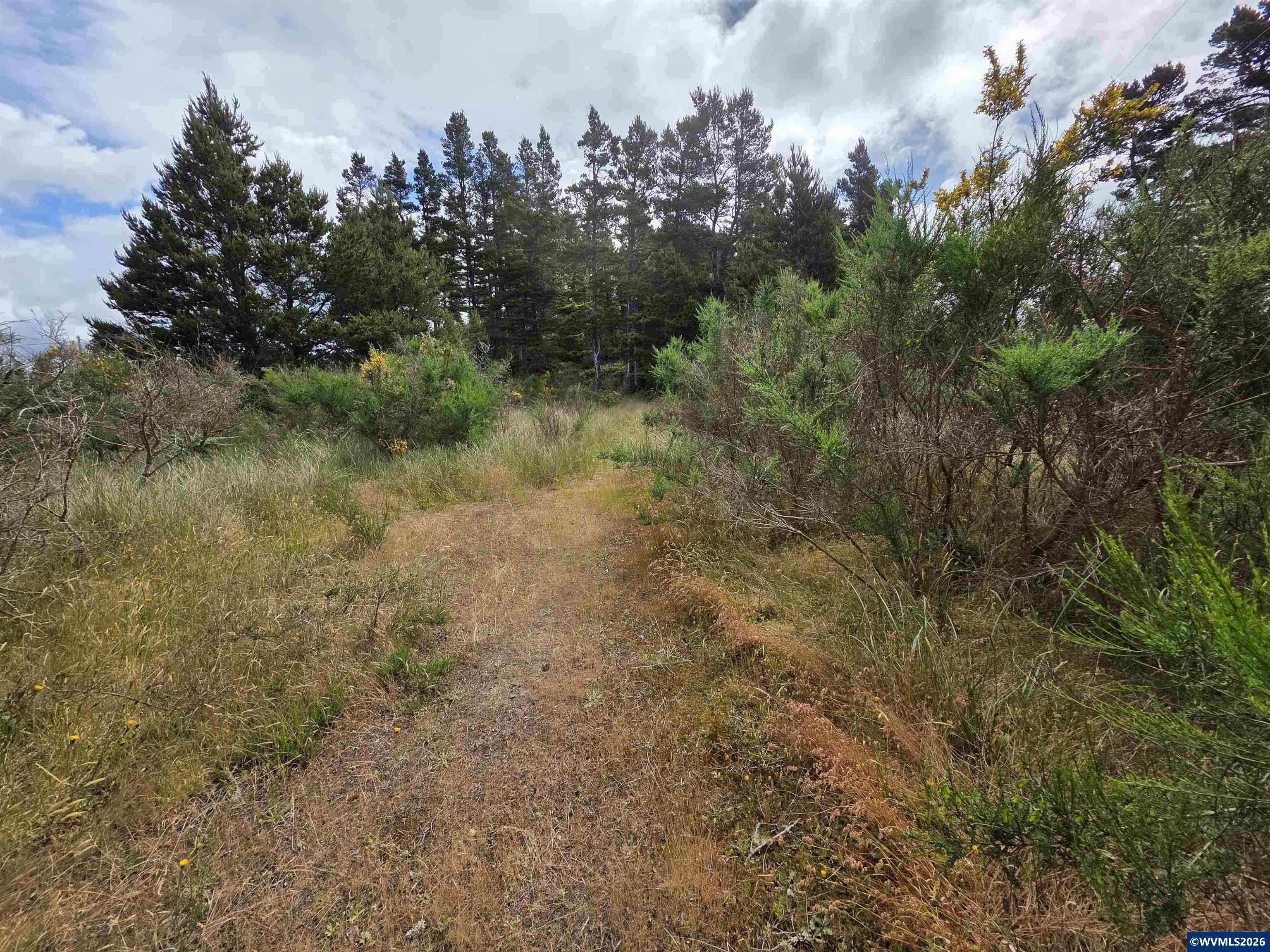 Lot 100 Highway 101 Florence, OR 97439 - Photo 1 of 8