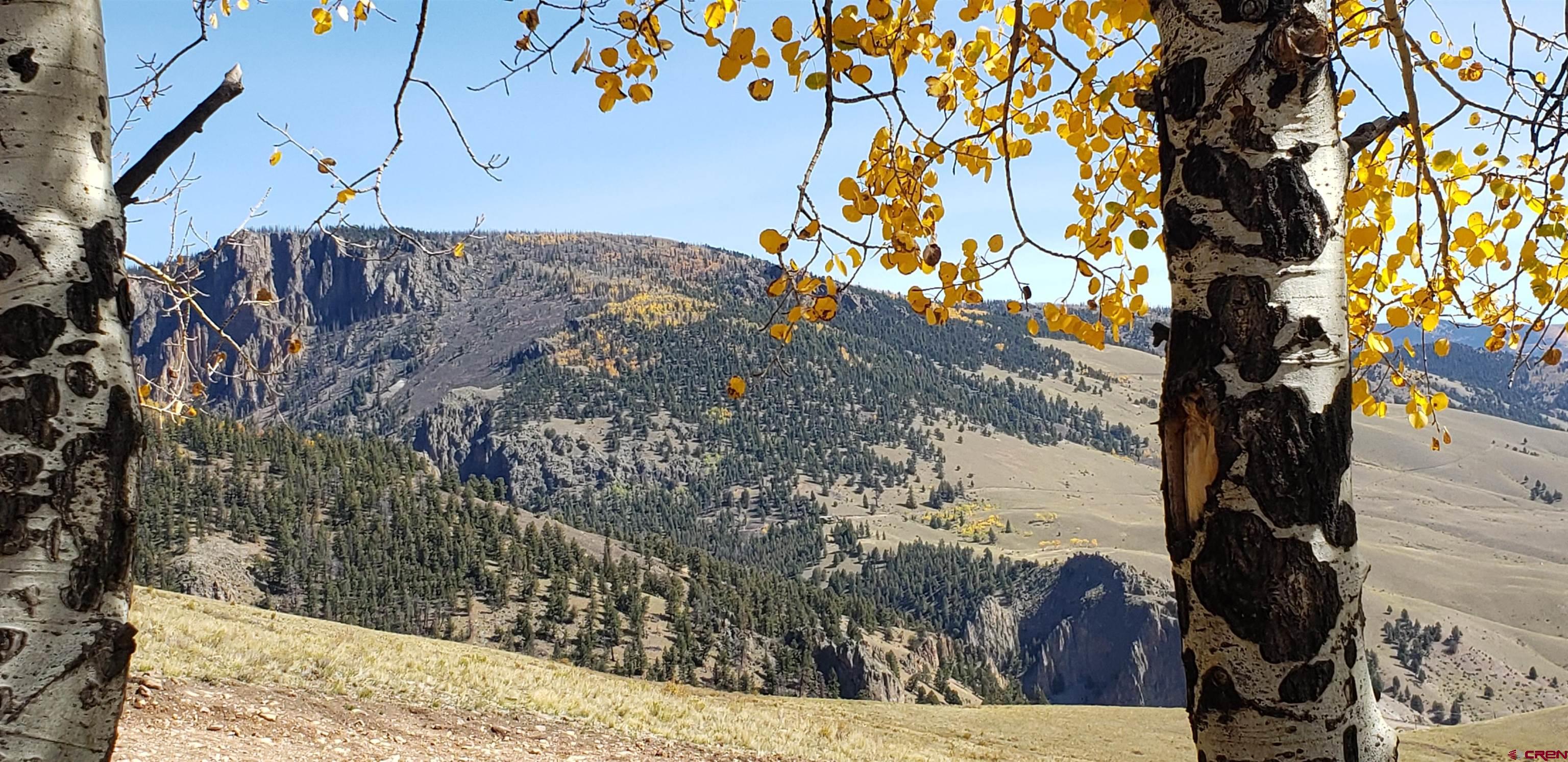504 Bachelor Loop Creede, CO 81130 - Photo 22 of 38