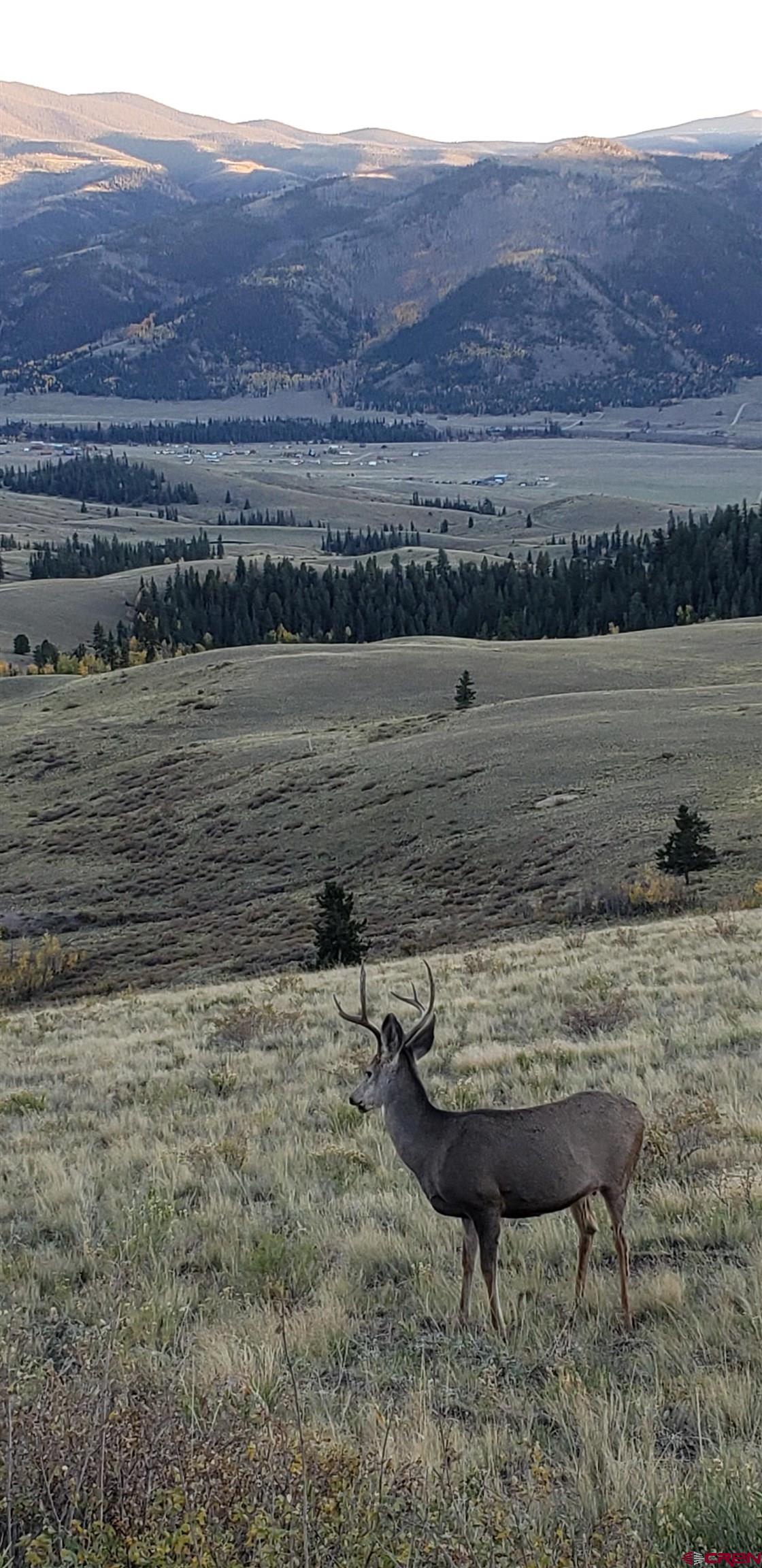 504 Bachelor Loop Creede, CO 81130 - Photo 25 of 38
