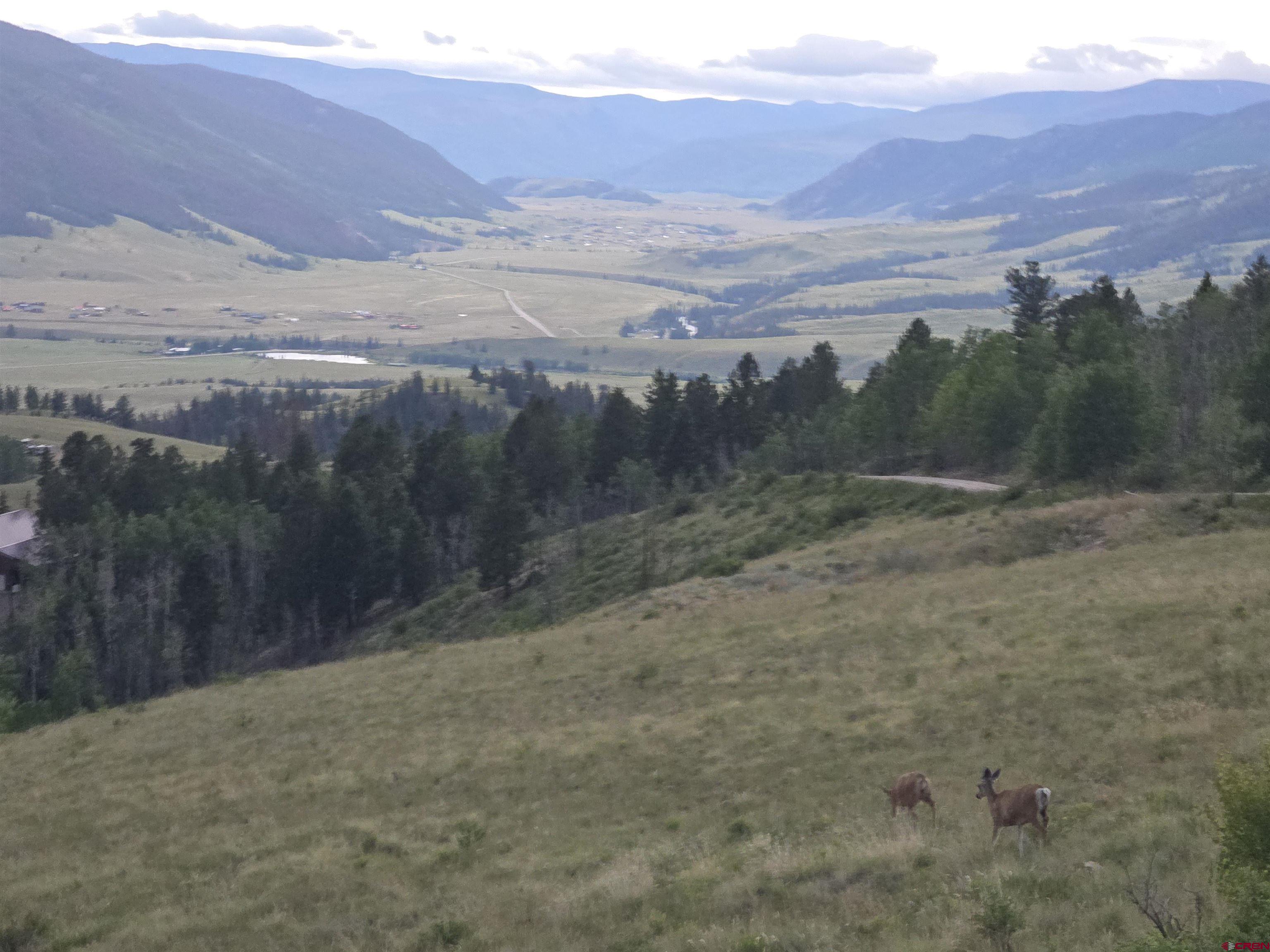 504 Bachelor Loop Creede, CO 81130 - Photo 3 of 38