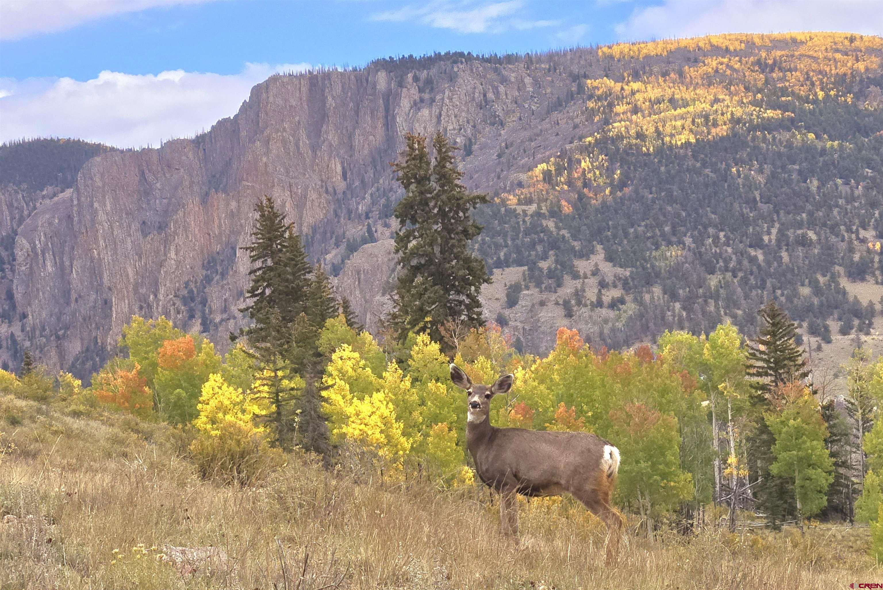 504 Bachelor Loop Creede, CO 81130 - Photo 10 of 38