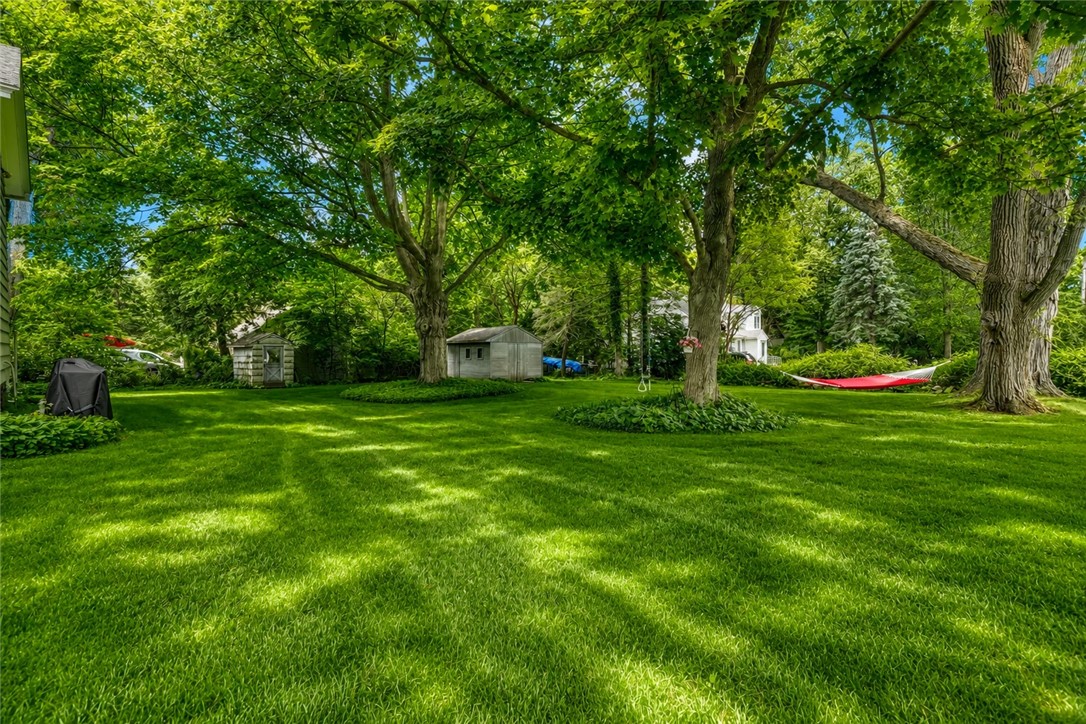 1479 Creek Street Rochester, NY 14625 - Photo 12 of 50 VIEW TO SHEDS
