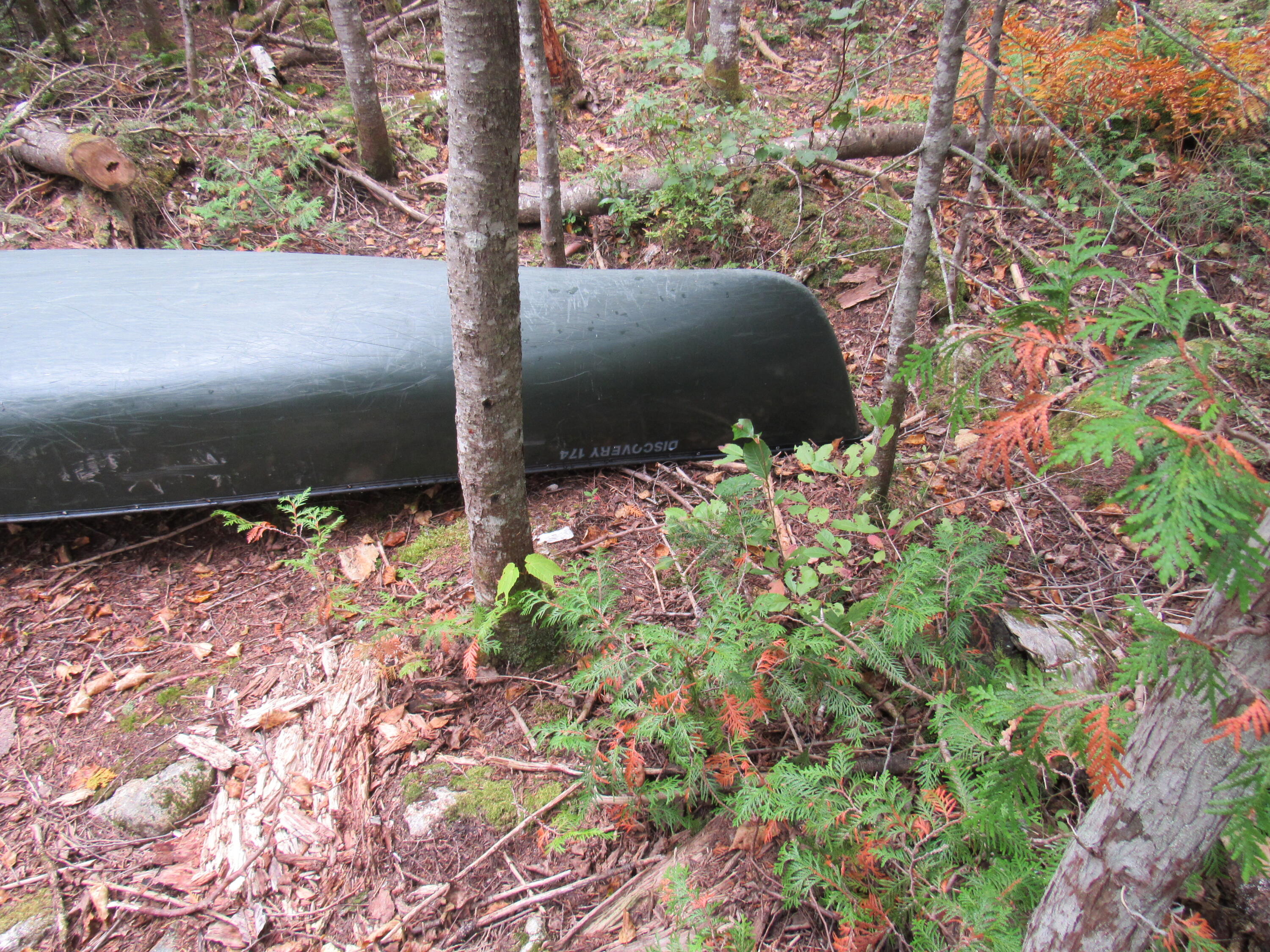 515 Grace Pond Road West Forks, ME 04985 - Photo 33 of 40 IMG_7201