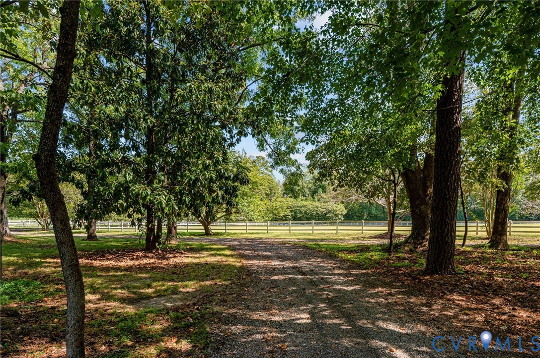 1801 Georgetown Road Heathsville, VA 22473 - Photo 19 of 83 Gravel driveway framed by mature trees, leading to