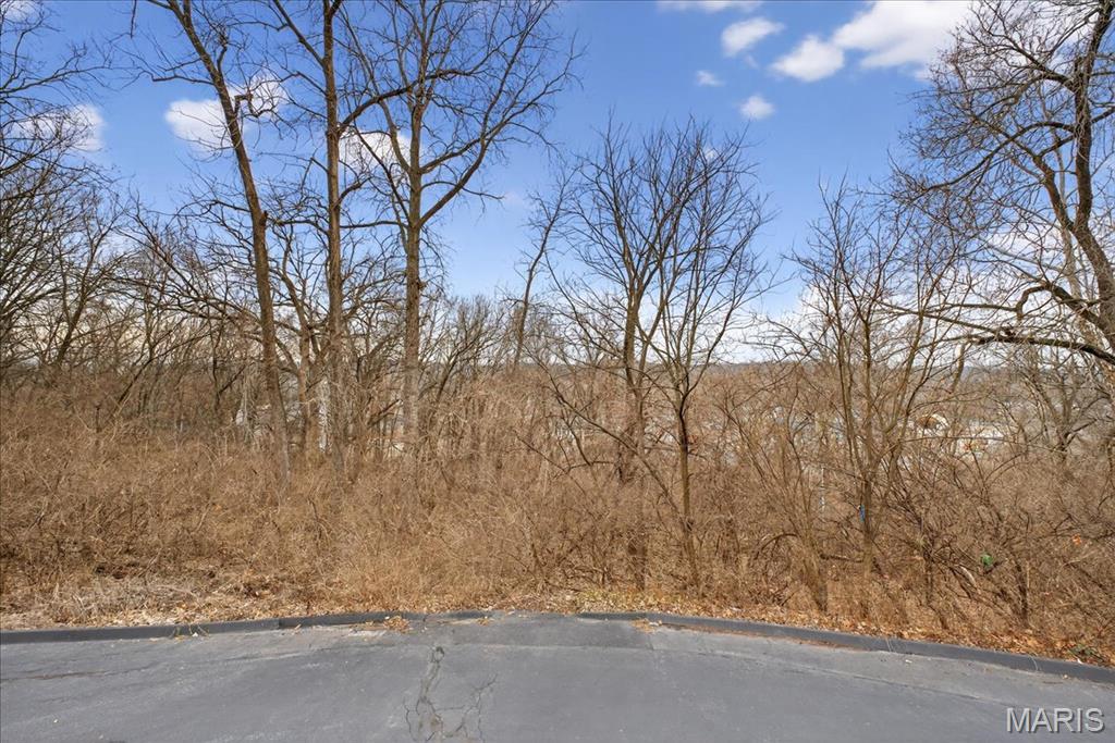 2327 Hidden Meadow Lane Ballwin, MO 63021 - Photo 18 of 31