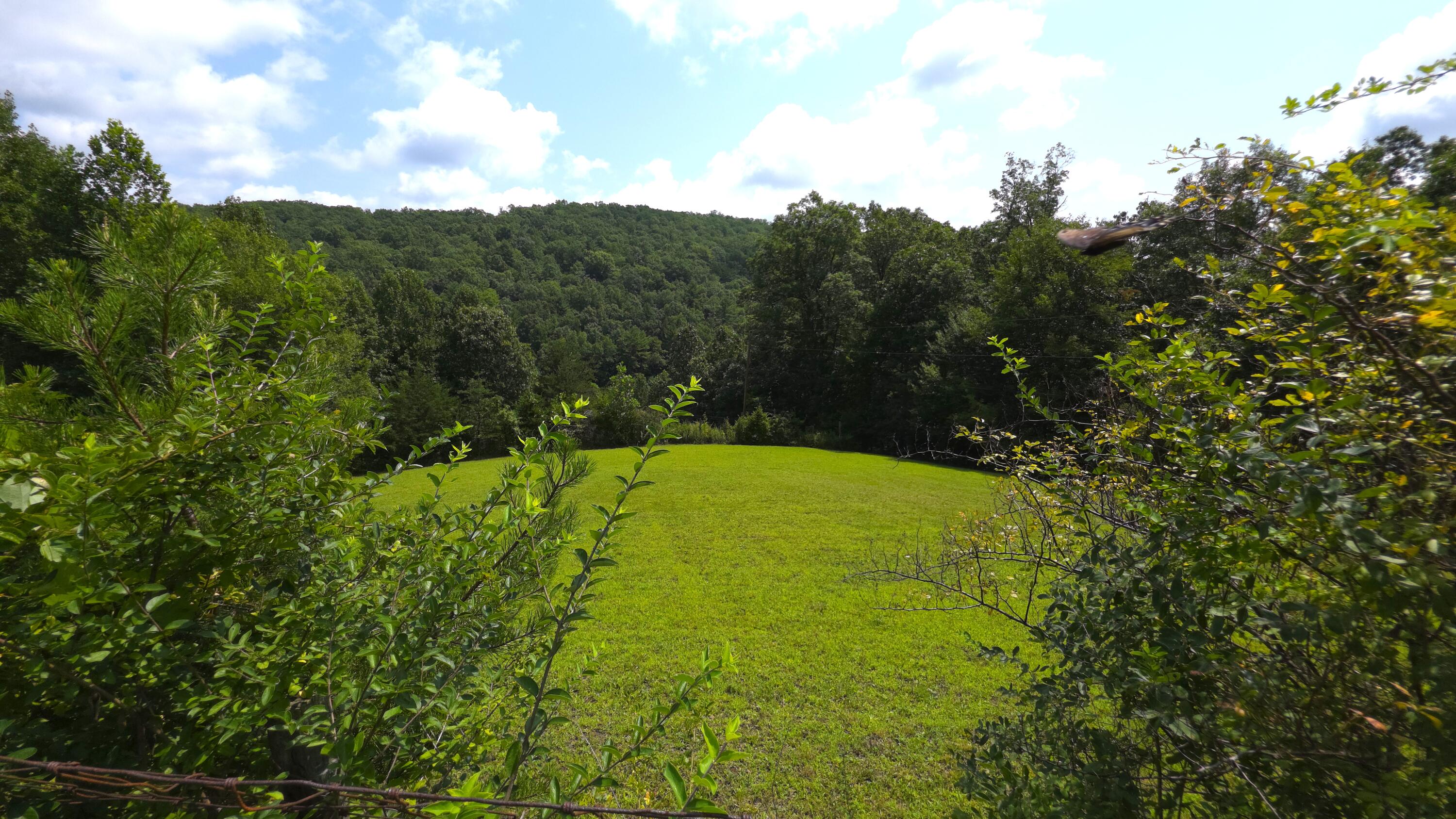 1871 Wayside Talcott Road Wayside, WV 24985 - Photo 62 of 85 Gallery Image 62