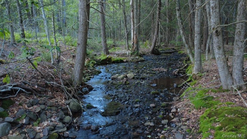 52 Log Road Parksville, NY 12768 - Photo 25 of 31 Stream