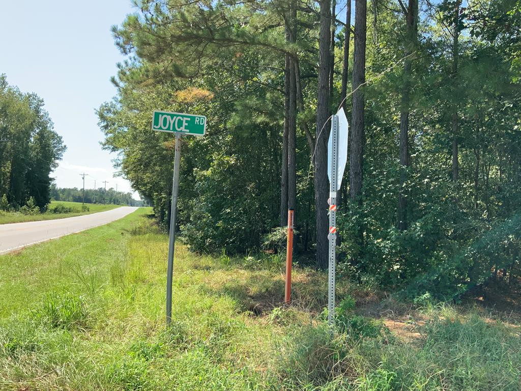 Tract #2 M W Rickenbaker Road Summerton, SC 29148 - Photo 2 of 10 Gallery Image 2