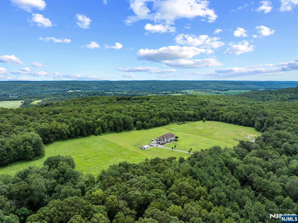 a view of a grassy field with an ocean