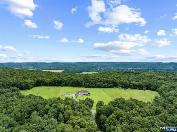 a view of a city with lush green forest