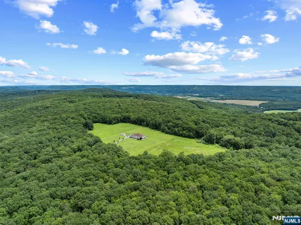 a view of a big yard with lots of green space