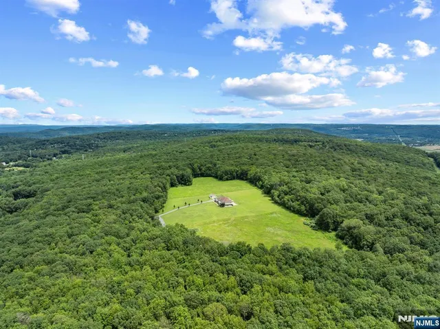 a view of a garden with a projector