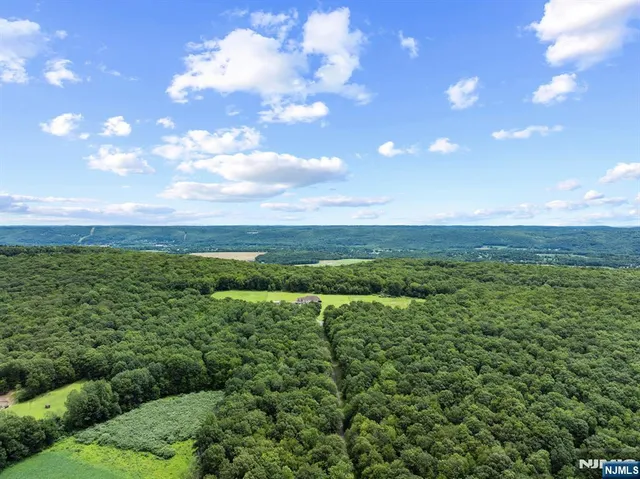 a view of a city with lush green forest