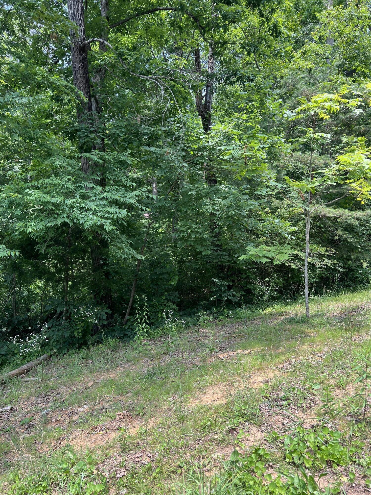 7511 Rocky Ledge Road Hixson, TN 37343 - Photo 6 of 13 IMG_2733