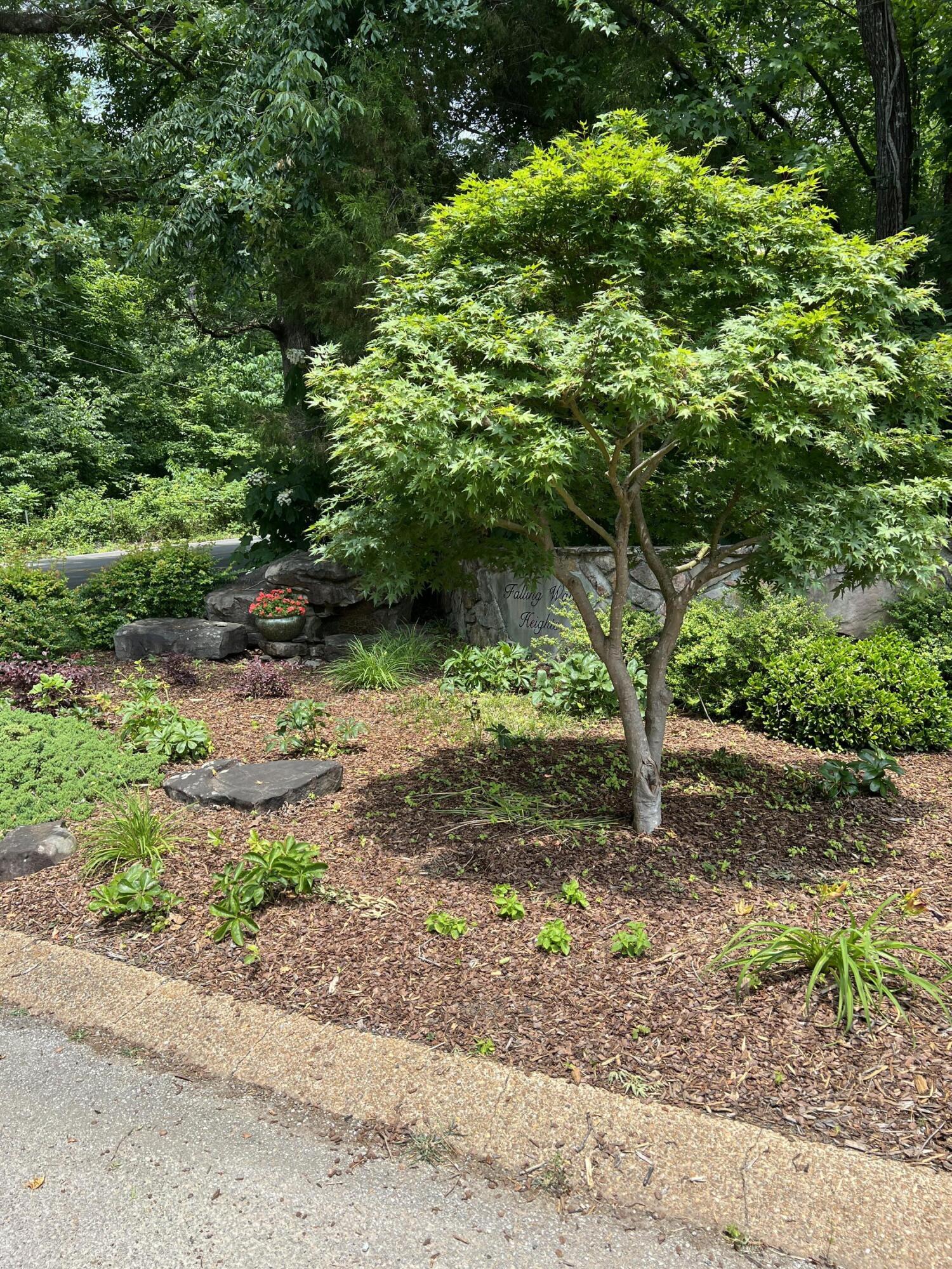 7511 Rocky Ledge Road Hixson, TN 37343 - Photo 10 of 13 IMG_2743