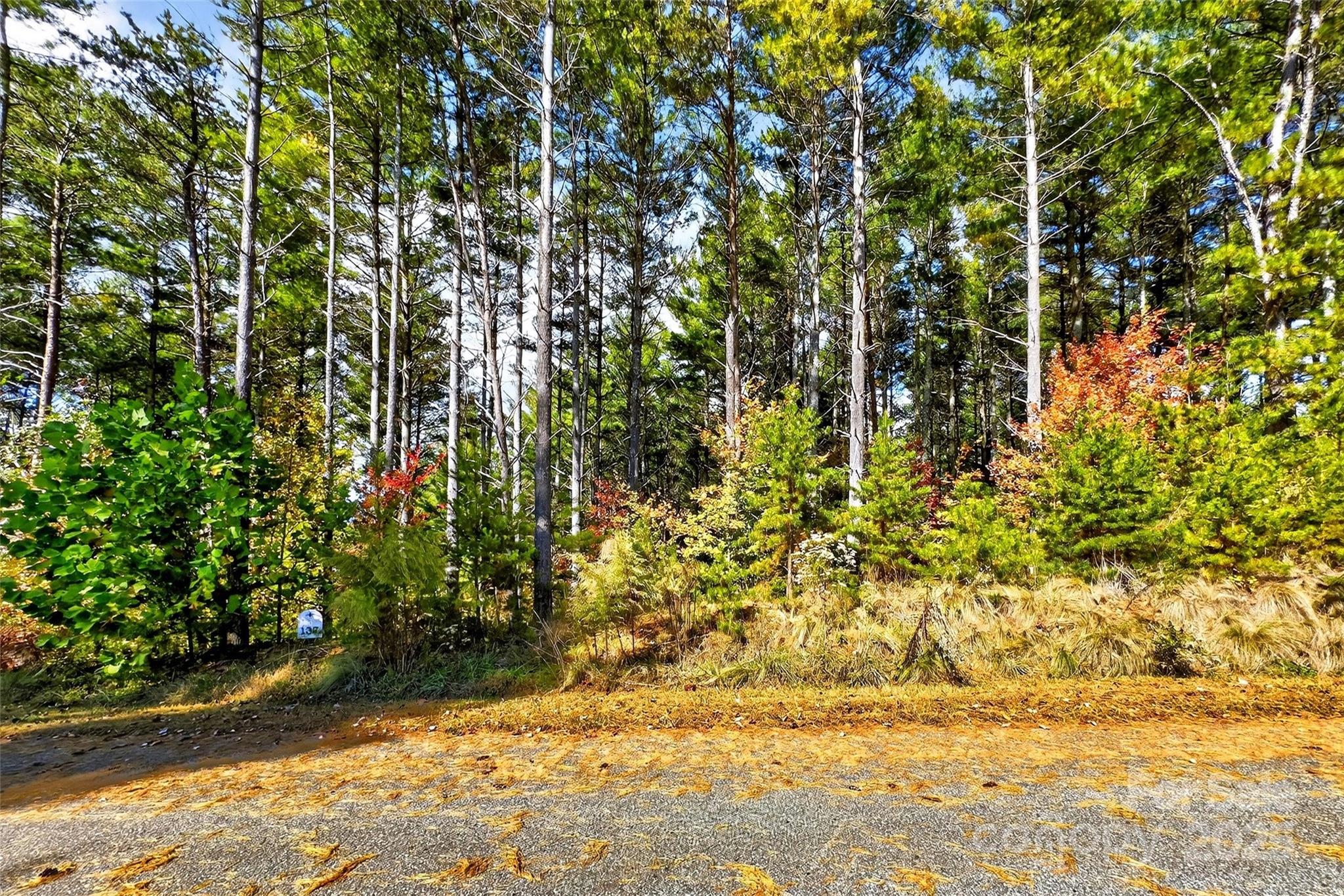 0 West Point Drive Nebo, NC 28761 - Photo 13 of 34 a view of outdoor space