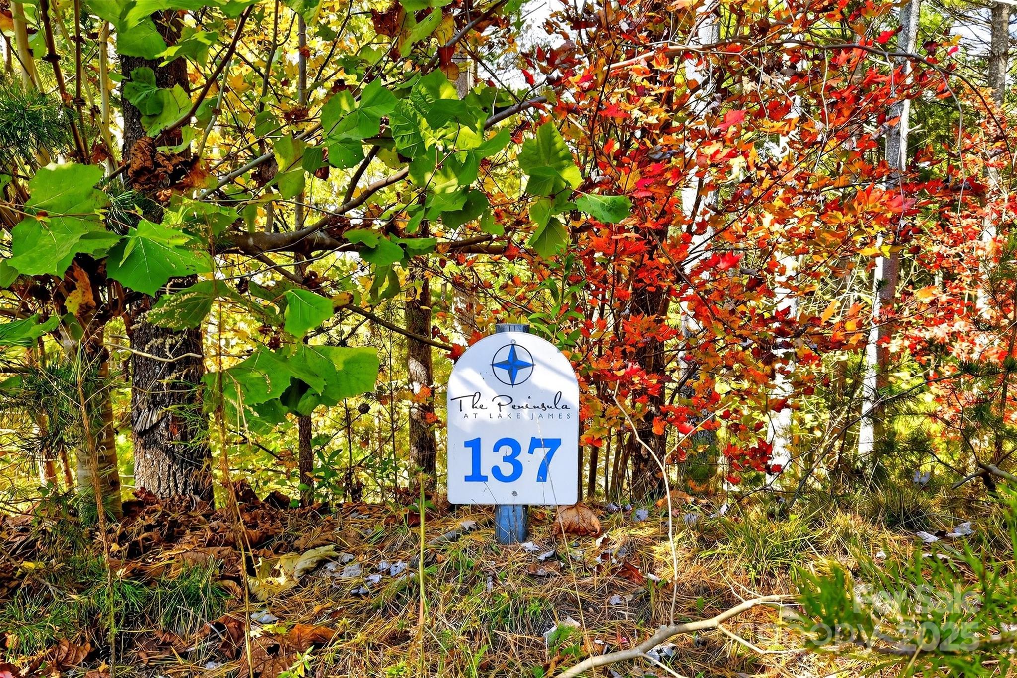 0 West Point Drive Nebo, NC 28761 - Photo 2 of 34 a sign broad in front of a tree