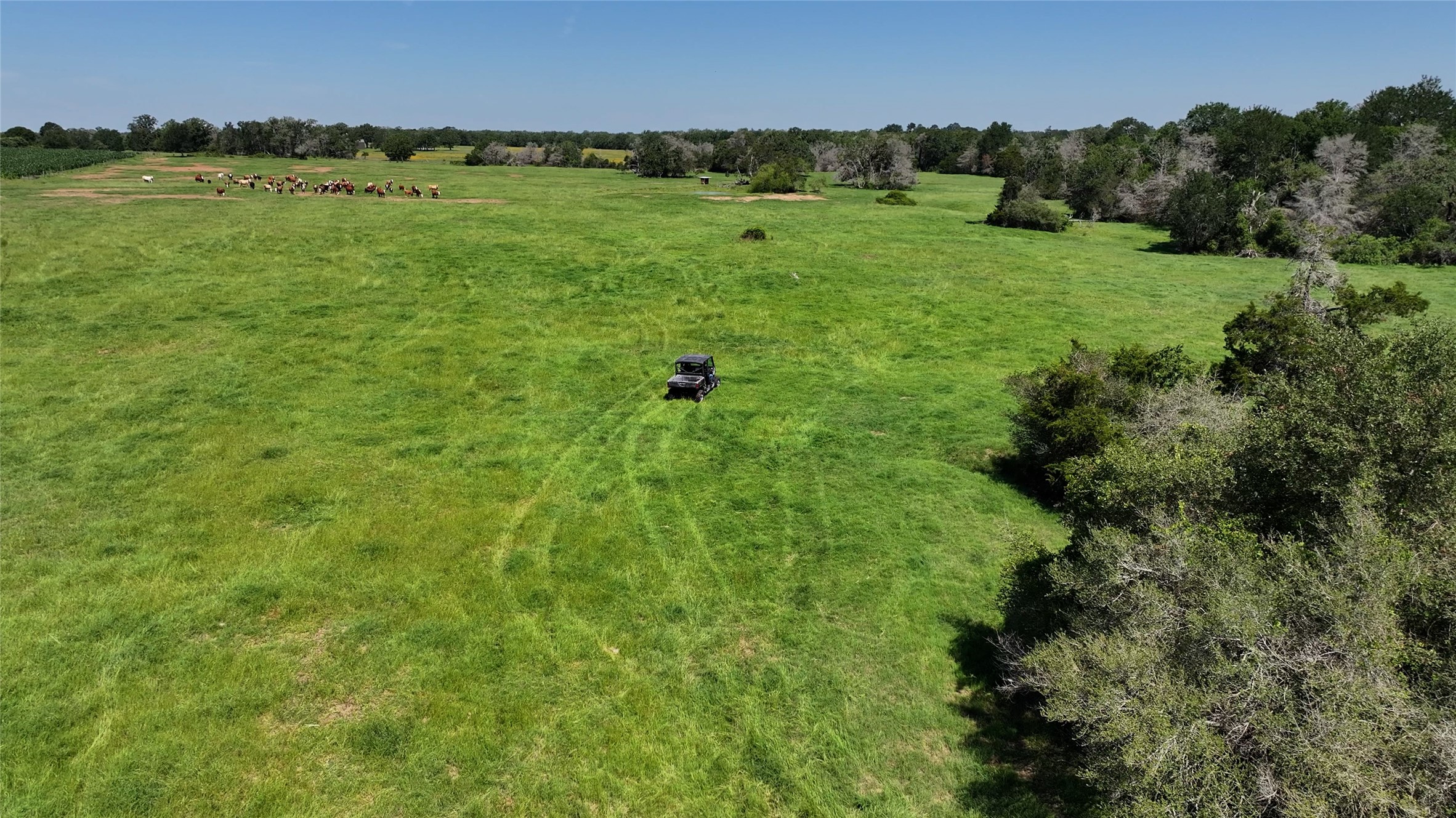 Tbd Warda Church Road Giddings, TX 78942 - Photo 28 of 29