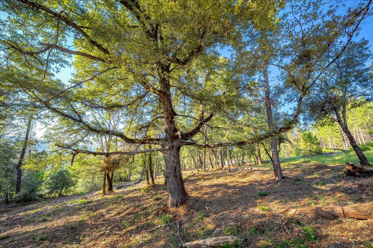 6880 Wentworth Springs Road Georgetown, CA 95634 - Photo 11 of 22 Gallery Image 11