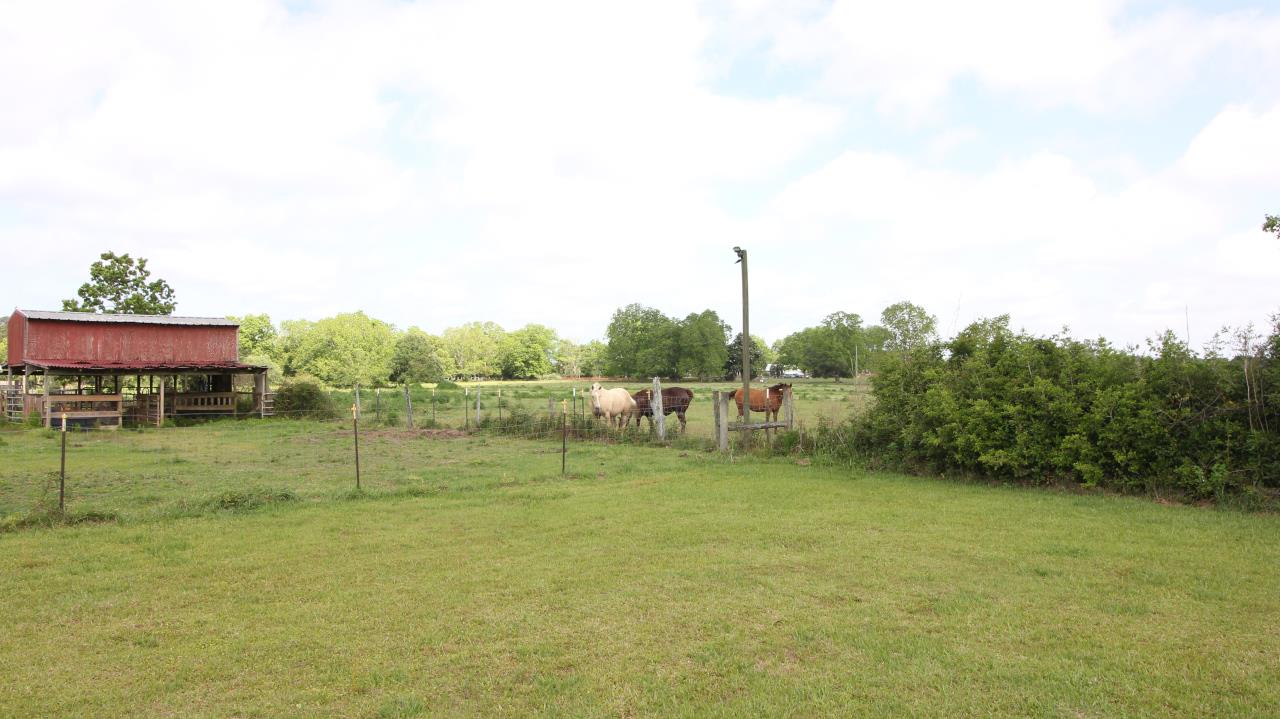 6545 County Road 19 Foley, AL 36535 - Photo 25 of 34