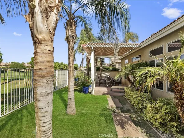a view of a patio with table and chairs potted plants and palm trees