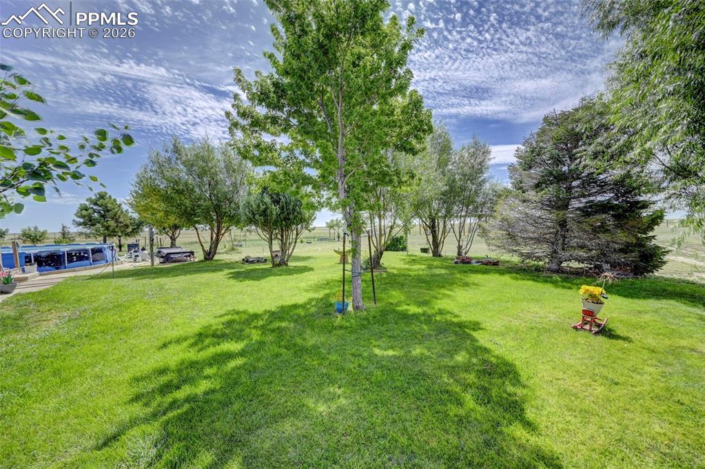 35875 Shear Road Yoder, CO 80864 - Photo 3 of 45 a view of green field