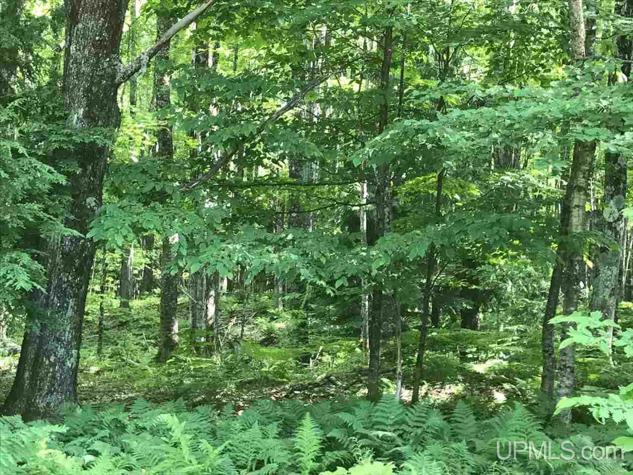 Tbd Aldrich Road Chassell, MI 49916 - Photo 14 of 16 Gallery Image 14
