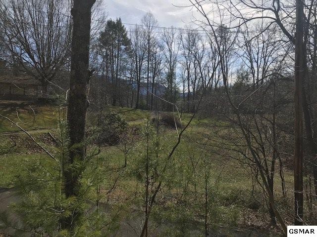 10 Reed Ridge Road Gatlinburg, TN 37738 - Photo 6 of 8