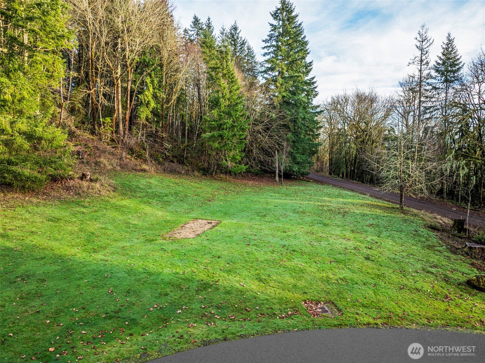 303 Shadow Mountain Road Silverlake, WA 98645 - Photo 30 of 39 a backyard of a house with lots of green space