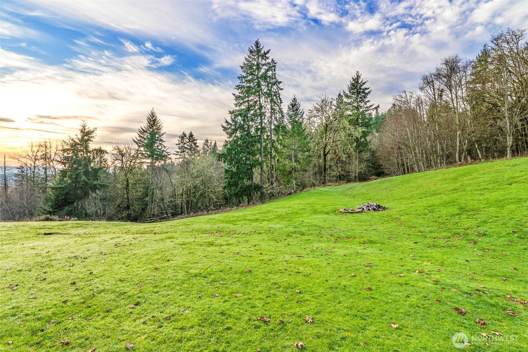 303 Shadow Mountain Road Silverlake, WA 98645 - Photo 37 of 39 a view of a grassy field with trees in the background