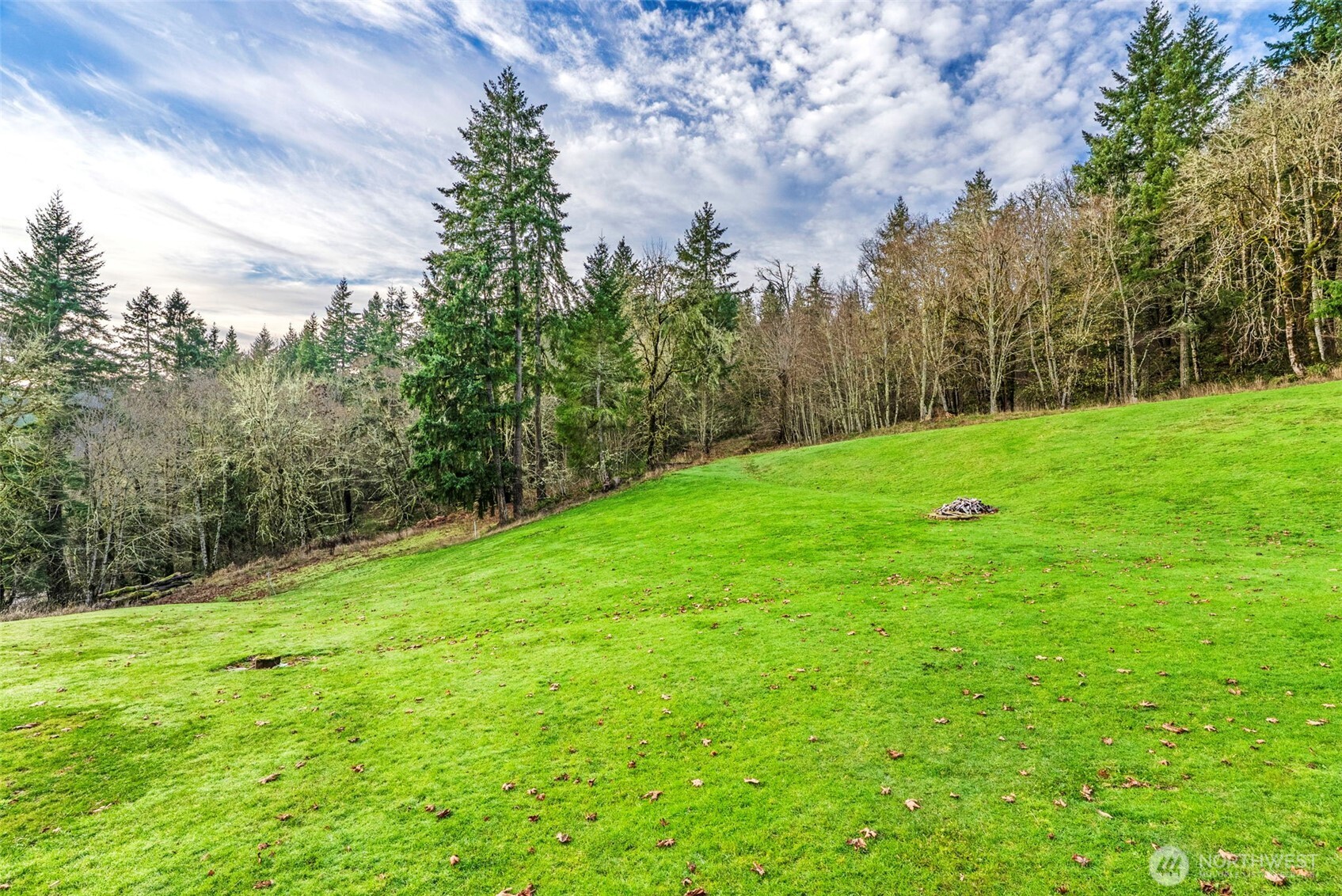 303 Shadow Mountain Road Silverlake, WA 98645 - Photo 38 of 39 a backyard of a house with lots of green space
