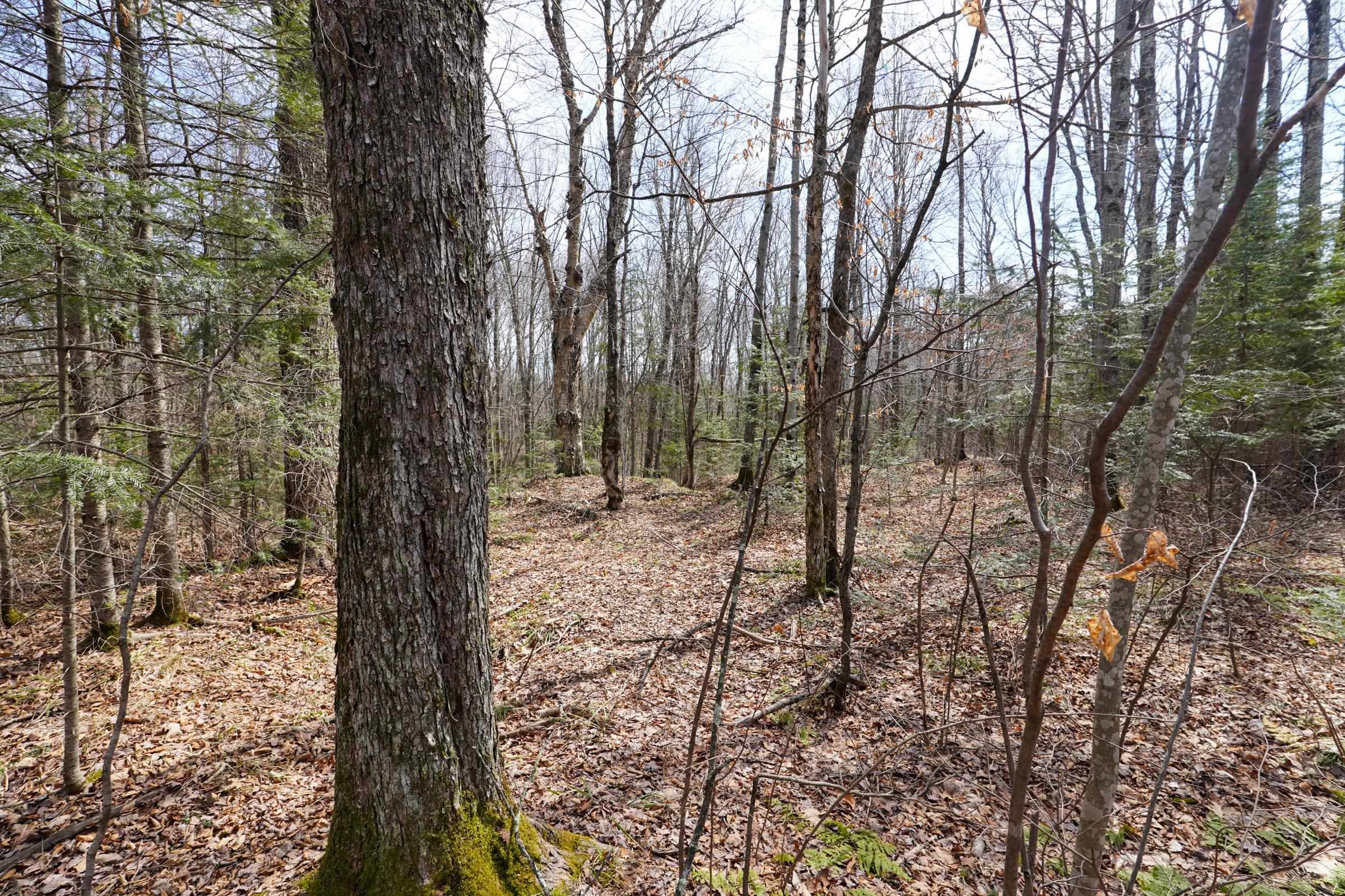 N8584 County Road East Westboro, WI 54490 - Photo 25 of 27