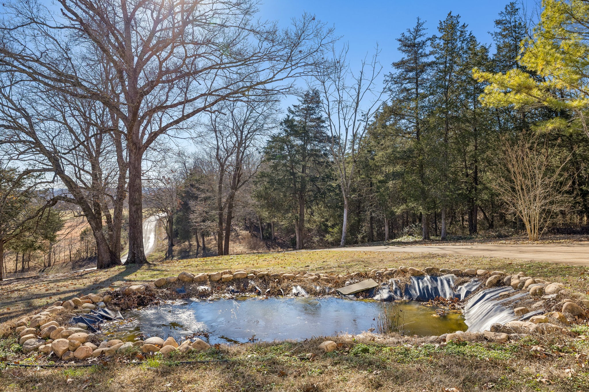 1585 Amos Hamlett Road Pulaski, TN 38478 - Photo 16 of 82