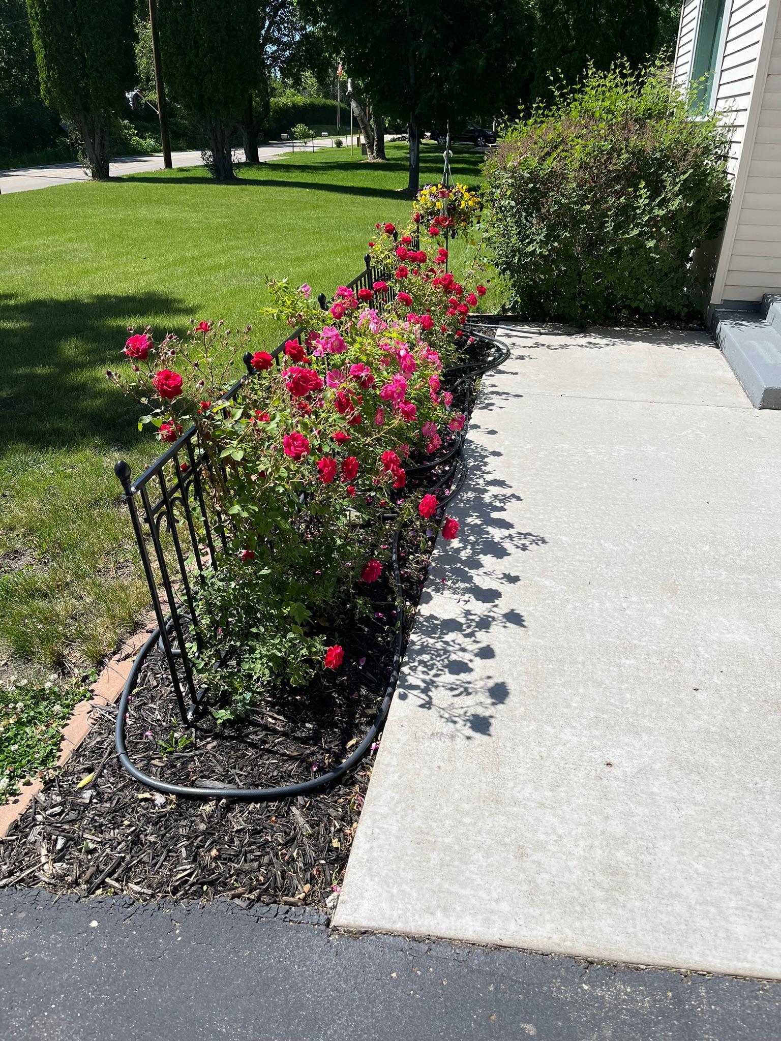 14811 Old Mill Road Spicer, MN 56288 - Photo 28 of 39