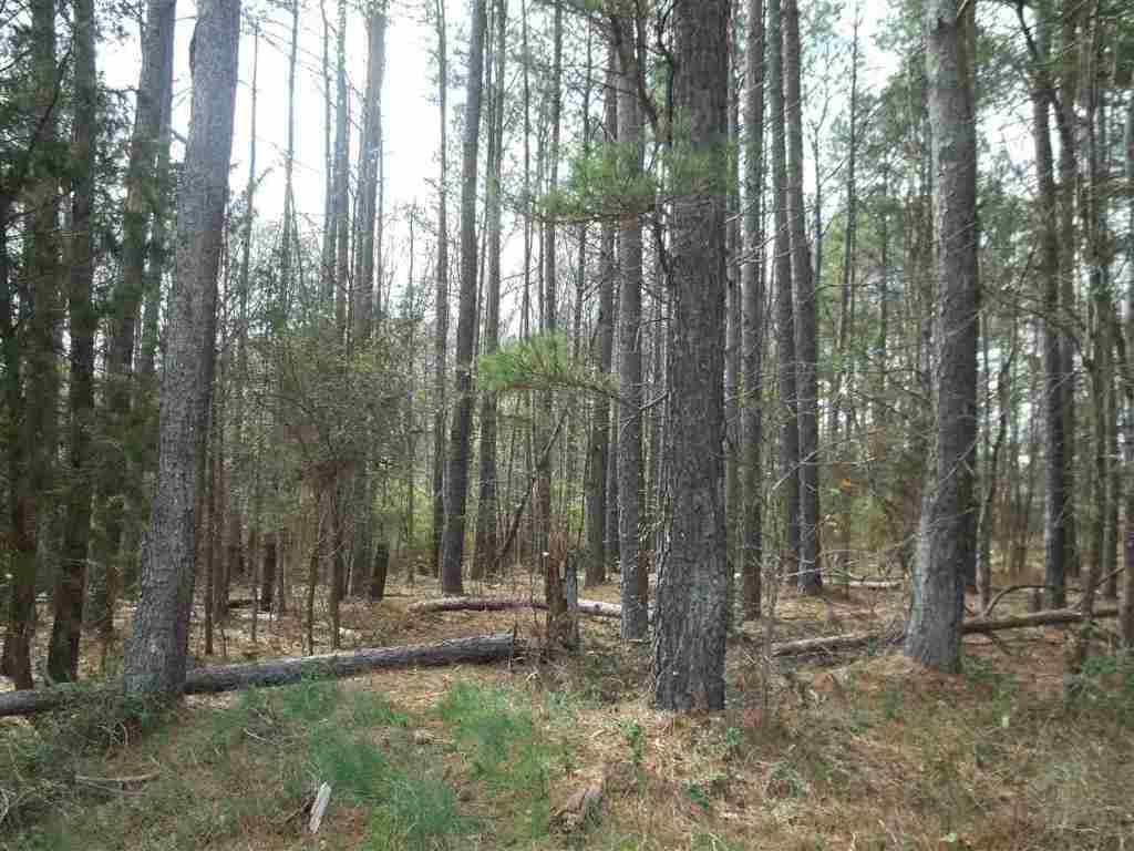 5691 Pearman Dairy Road Anderson, SC 29625 - Photo 3 of 9