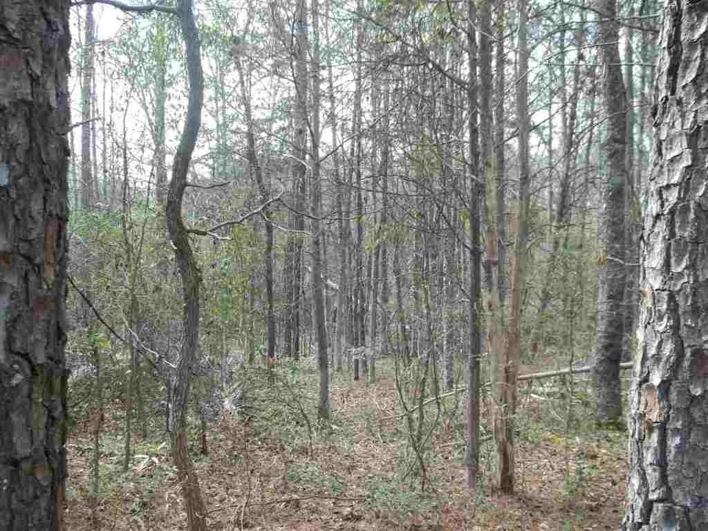 5691 Pearman Dairy Road Anderson, SC 29625 - Photo 6 of 9