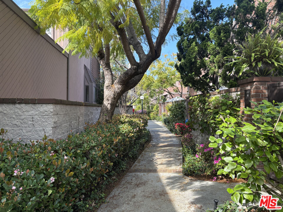 4541 Alla Road, Unit 5 Marina del Rey, CA 90292 - Photo 26 of 31 a backyard of a house with lots of green space