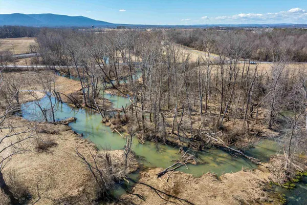 a view of a lake in middle of forest