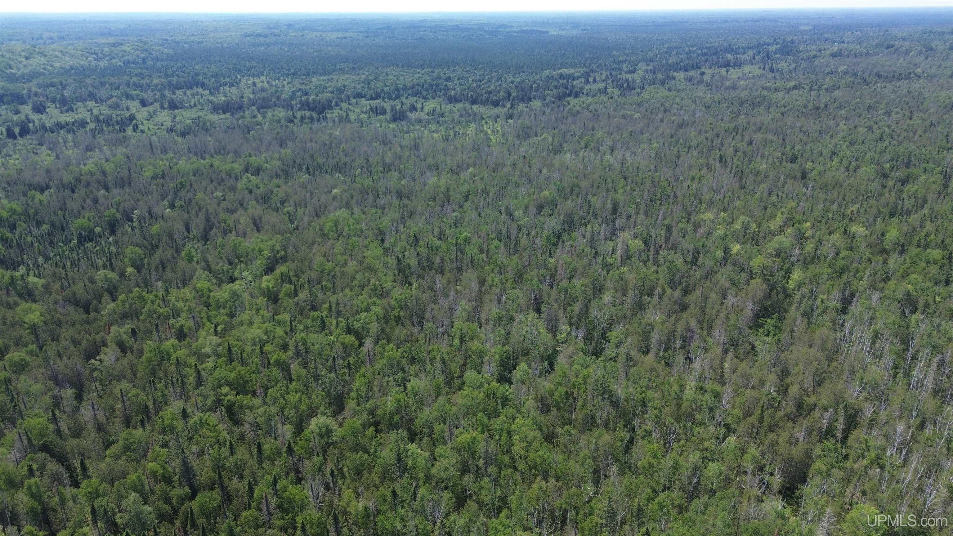 13 Highway Wetmore, MI 49895 - Photo 37 of 39